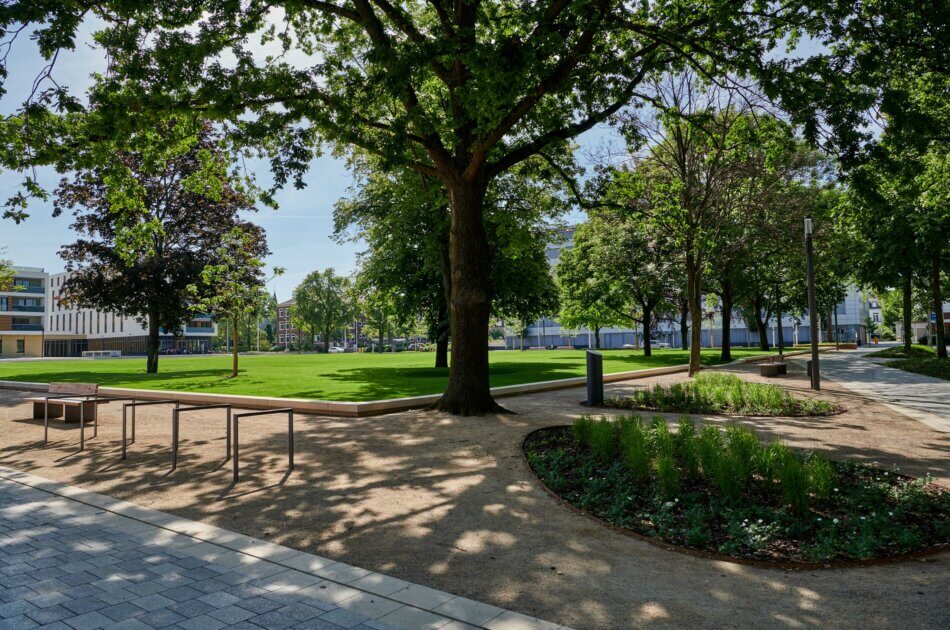 Stadtlichtung - Theodor-Heuss-Park - Integration von Bestandsbäumen